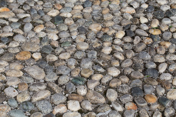 Round stones in the ground