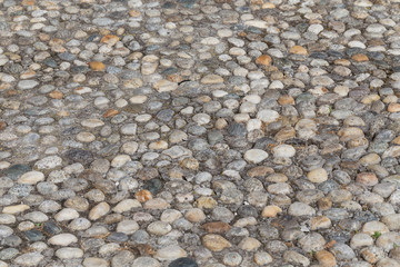 Round stones in the ground
