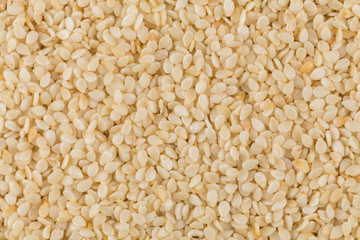 Closeup of lots of sesame seeds