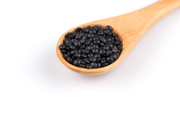 Orange organic lentils