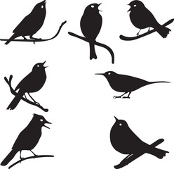 Bird Silhouettes, bird on branch, vector collection - 108301001