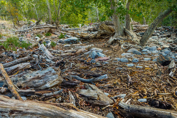 Marvel at the Natural Wonders of Sedona Arizona USA
