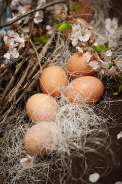 eggs and blooming branch