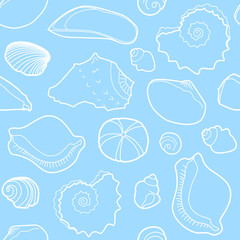 Marine seamless pattern with sea shells
