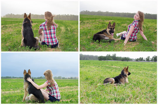 girl with German shepherd summer outdoors sitting on field