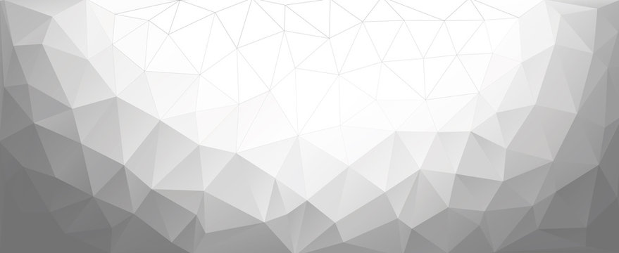 Polygon Panorama