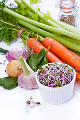 Assorted vegetables. Healthy lifestile. Green concept.