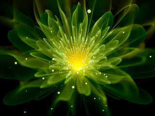 Green glowing fractal flower