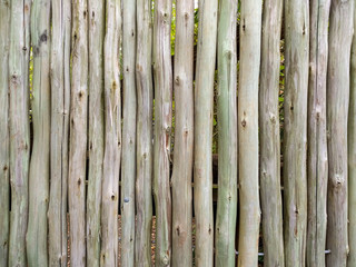 bark fence nature background