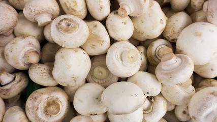 fresh champignons. Champignon mushrooms  background