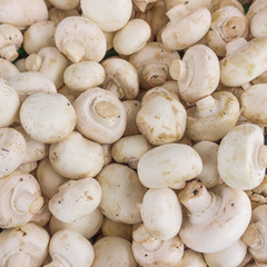 fresh champignons. Champignon mushrooms  background