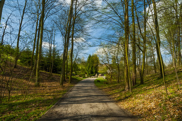 Leśny Park Kultury i Wypoczynku w Bydgoszczy, Myślęcinek, Bydgoszcz, Polska, Europa © DawidDobosz