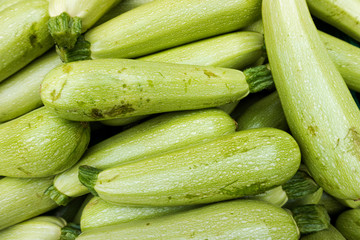 Zucchini at the market.  Fresh green zucchini