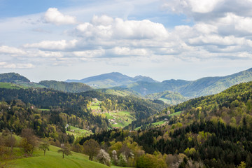 Green spring mountains in Slovenia