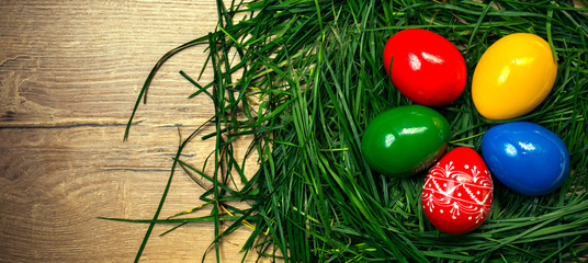 Green grass and colored Easter eggs