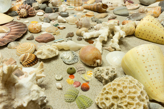 Standgut, Muscheln, Erinnerungen