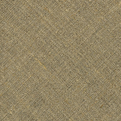 Linen canvas texture