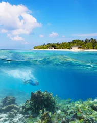 Crédence de cuisine en verre imprimé Plonger Young woman diver exploring coral reef