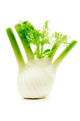 Fenchel perfekt freigestellt
