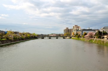 Obraz premium 京都 鴨川