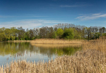 Pond in early spring in April