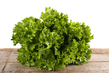 Green salad lettuce