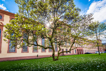 Obraz premium Mannheim