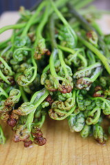 旬の山菜　わらび