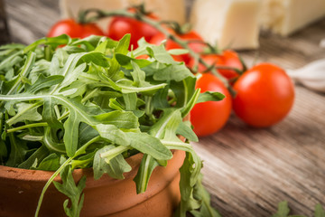 Ingredients for salad