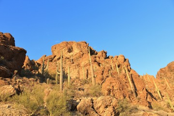 Fototapeta premium Southwest Desert Mountains