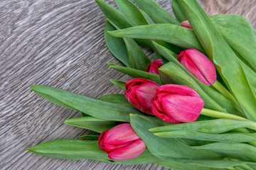 Red tulips on a wooden background