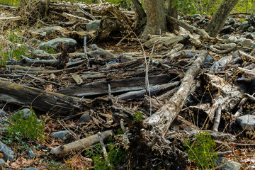 Obraz premium Marvel at the Natural Wonders of Sedona Arizona USA 