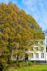 old building in Maastricht, The Netherlands