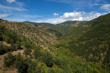 Fototapeta na wymiar Amazing view of Green Landscape of Ograzhden Mountain, Bulgaria 