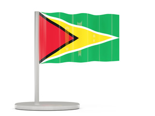 Pin with flag of guyana