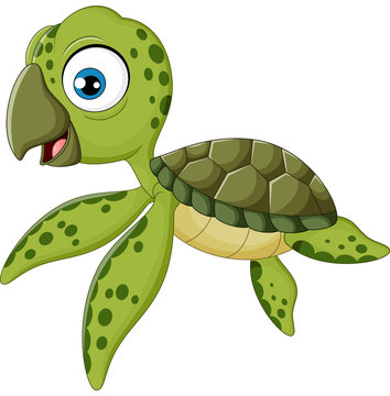 Cartoon baby turtle swimming, 