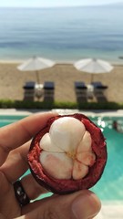 Mangosteen