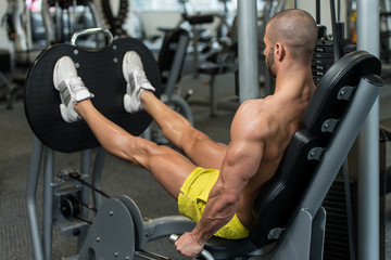 Workout Leg Press Exercises