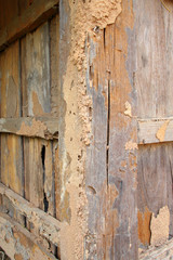 Termite damage wooden wall