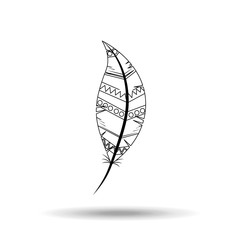 feather icon  design 