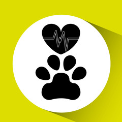 pet care concept design 