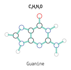 C5H5N5O guanine molecule