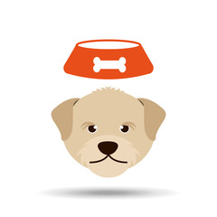 pet care concept design 