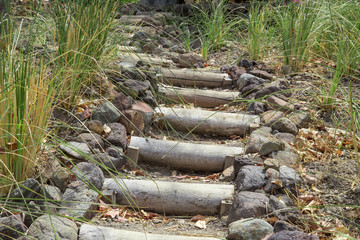 natural trunk wood stairs