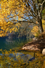 Fototapeta na wymiar Black Lake, the Largest natural lake in the National park Sumava,Czech republic