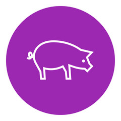 Pig line icon.