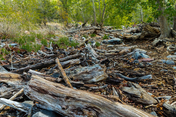Marvel at the Natural Wonders of Sedona Arizona USA
