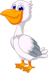 Cartoon Pelican