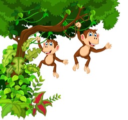 funny two monkey cartoon hanging in the tree 