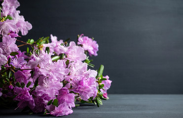 Blooming pink ledum on the rustic wooden background